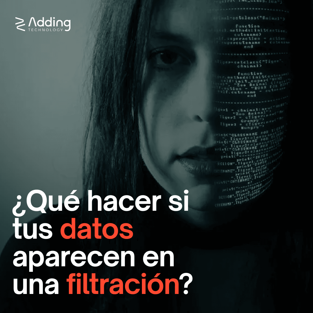 Imagen de soluciones digitales